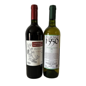 Moscatel + Cabernet Sauvignon - Viña Altos del Itata